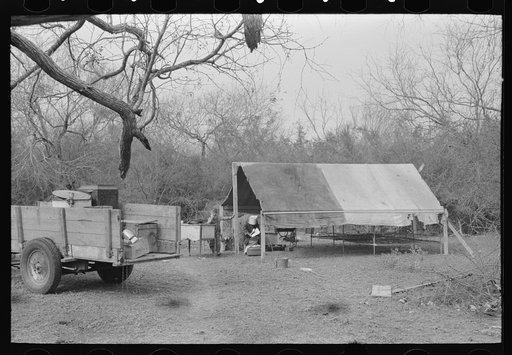 Untitled photo, possibly related to: Setting up housekeeping in tent home near Harlingen, Texas
