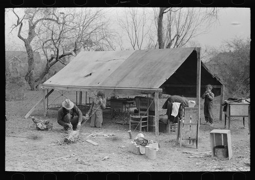 Setting up tent home. Migrant workers near Harlingen, Texas