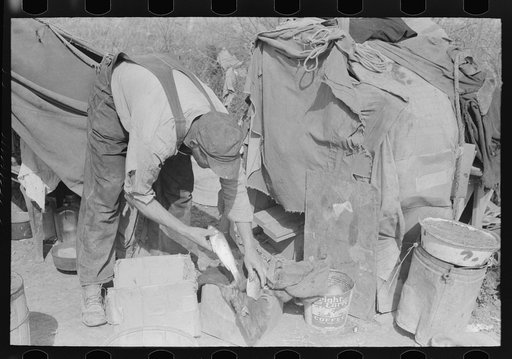 White migrant worker cleaning fish near Mercedes, Texas