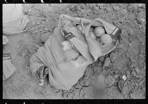 Citrus picker's bag, Weslaco, Texas
