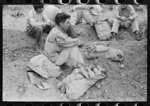Untitled photo, possibly related to: Citrus picker's bag, Weslaco, Texas