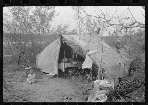 Tent home of white migrant family near Harlingen, Texas