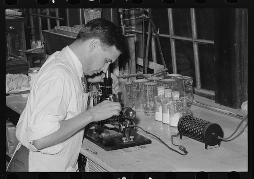 Chemist running microscopic test on sweet potato starch at plant, Laurel, Missisippi