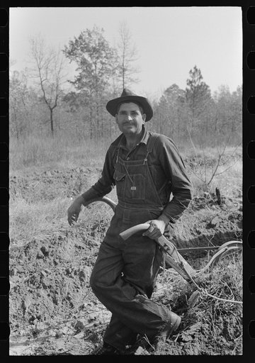 Sharecropper and plow, near Laurel, Mississippi