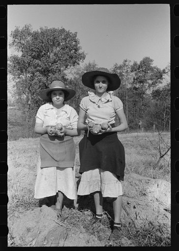 Children of sharecropper with sweet potatoes near Laurel, Mississippi