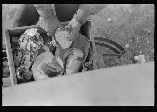 Chow wagon on rear of automobile with man cutting up cabbage. Edinburg, Texas migrant camp.
