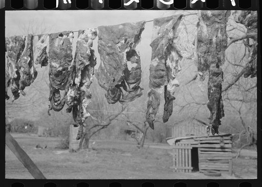 Jerked beef hanging on line near Combes, Texas