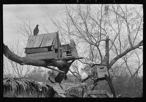 Pigeon cote of Mexican farmer near Combes, Texas