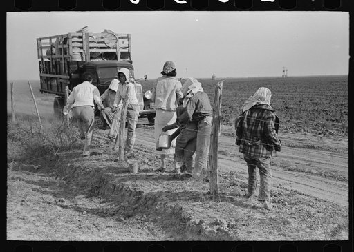 Mexican women arriving and unloading from truck at spinach field, La Pryor, Texas