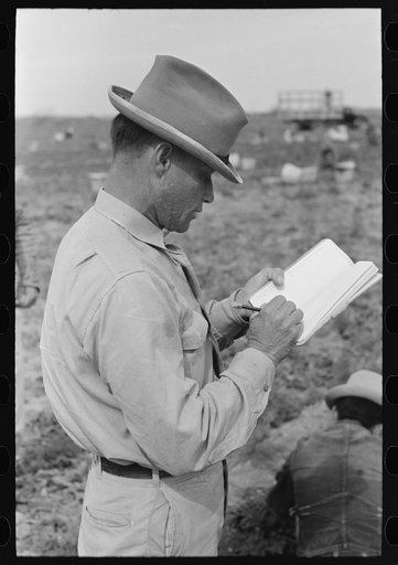 Mexican laborer contractors employ a checker who keeps track of number of baskets cut by each cutter, La Pryor, Texas. He also okays the baskets for shipping from fields