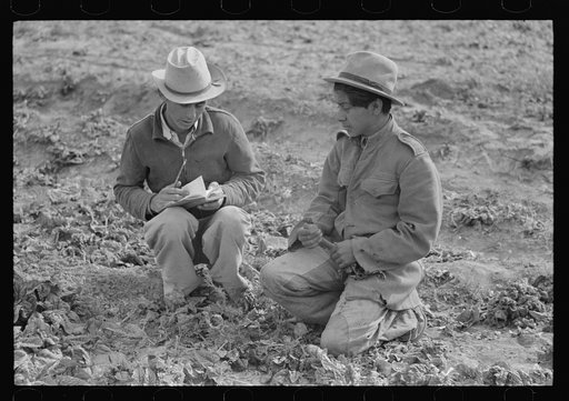 Checker of Mexican labor contractor talking to cutter, La Pryor, Texas