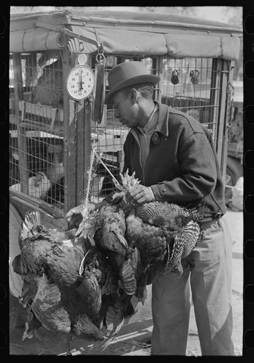 Weighing chickens in produce market, San Antonio, Texas