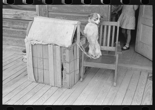 Untitled photo, possibly related to: Rear view of Mexican house, San Antonio, Texas