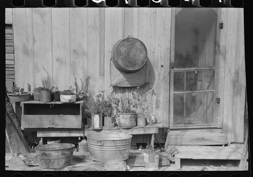 Untitled photo, possibly related to: Uncollected garbage and pot plants in back yard of Mexican house, San Antonio, Texas