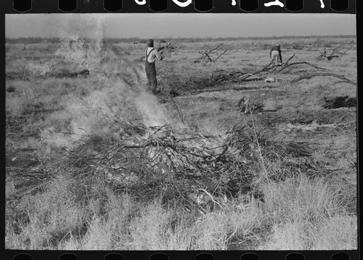 Burning mesquite in process of clearing land, El Indio, Texas