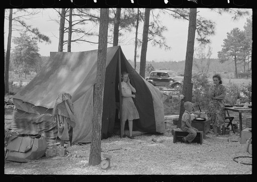 Camp of migratory strawberry pickers in grove near Hammond, Louisiana