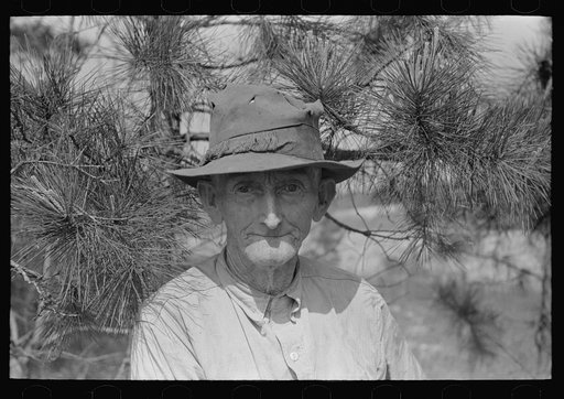 East Texas farm owner near Harleton, Texas