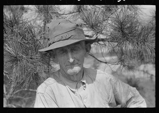 Untitled photo, possibly related to: East Texas farm owner near Harleton, Texas