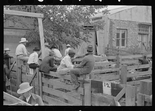 Men sitting on fence on cattle auction yard, San Augustine, Texas