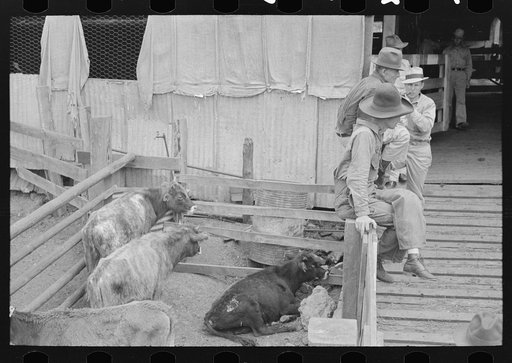 Cattle pens and farmers at auction yard, San Augustine, Texas