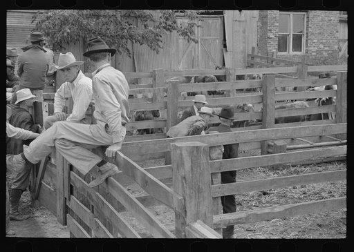 Cattle pens and farmers at auction yard, San Augustine, Texas