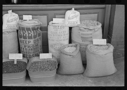 Seed displayed for sale, San Augustine, Texas