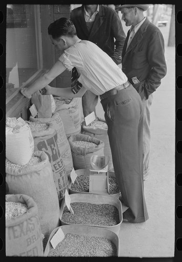 Untitled photo, possibly related to: Clerk putting up seed, San Augustine, Texas
