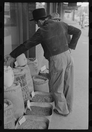 Farmer looking at seed which is displayed for sale, San Augustine, Texas