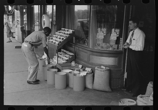 Setting out seed for display on sidewalk in the early morning, San Augustine, Texas