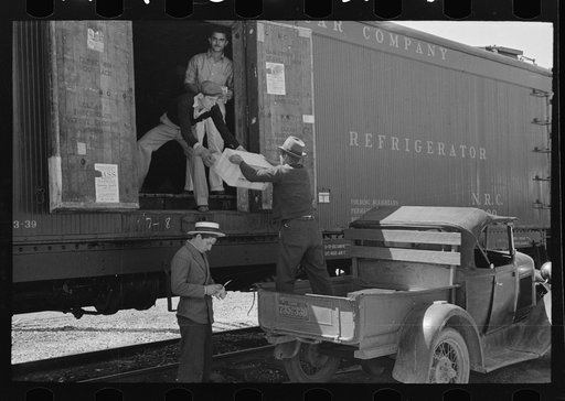 Loading strawberries into refrigerator car, Hammond, Louisiana