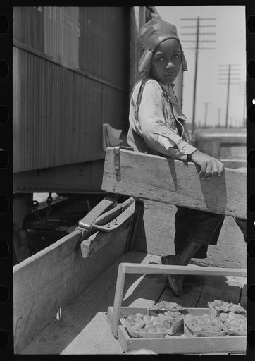 Son of Negro strawberry farmer at loading station, Hammond, Louisiana