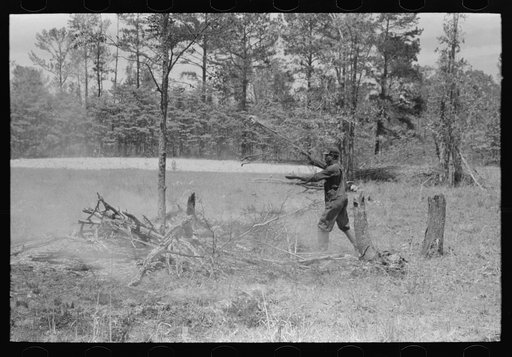 Clearing land, Sabine Farms, Marshall, Texas