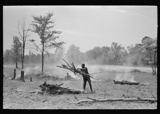 Clearing land, Sabine Farms, Marshall, Texas