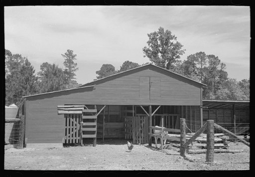Barnyard of FSA (Farm Security Administration) client, Sabine Farms, Marshall, Texas