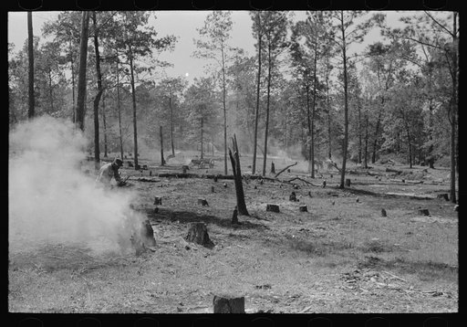 Untitled photo, possibly related to: Clearing land, Sabine Farms, Marshall, Texas