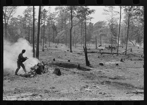 Clearing land, Sabine Farms, Marshall, Texas