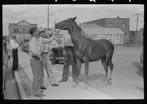 Displaying a horse for sale on the streets of Alpine, Texas