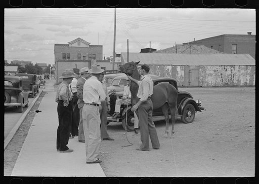 Untitled photo, possibly related to: Displaying a horse for sale on the streets of Alpine, Texas
