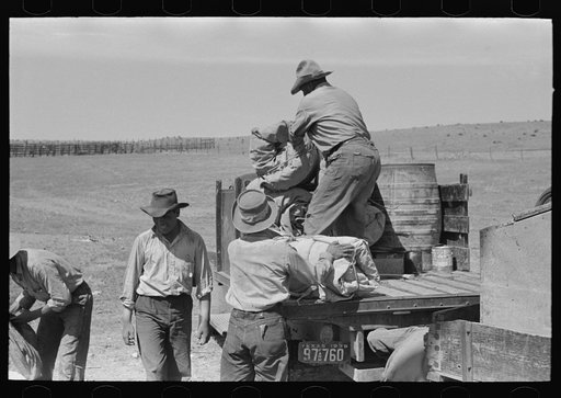Putting bedrolls on truck. Cattle ranch near Marfa, Texas