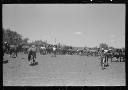 Horses in the corral. Cattle ranch near Spur, Texas. On cattle ranches at least five horses are needed for every cowboy