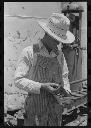 Day laborer looking through box of nuts and bolts, farm near Ralls, Texas
