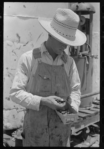 Untitled photo, possibly related to: Day laborer looking through box of nuts and bolts, farm near Ralls, Texas