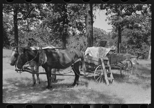 Horses and wagon of Negro standing in the churchyard. Notice the ladder and quilts. McIntosh County, Oklahoma