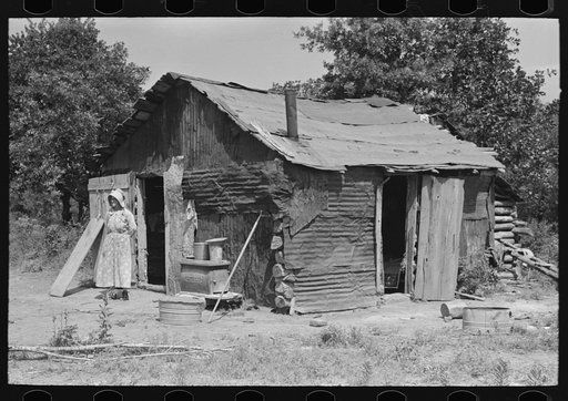 Untitled photo, possibly related to: White woman, tenant farmer, feeding weeds to her hogs, McIntosh County, Oklahoma