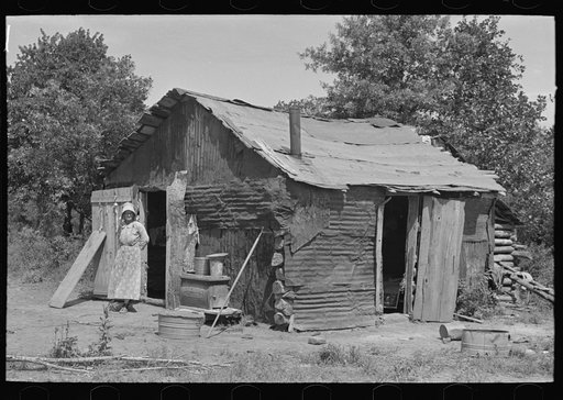 Untitled photo, possibly related to: White woman, tenant farmer, feeding weeds to her hogs, McIntosh County, Oklahoma