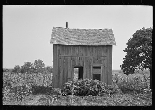 Abandoned house, surrounded by growing corn, McIntosh Co., Oklahoma