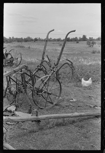 Untitled photo, possibly related to: Old buggy in a field of daisies near Vian, Oklahoma, on abandoned farm