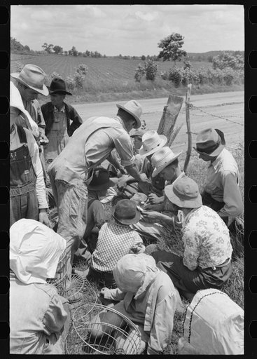 Potato pickers near Spiro, Oklahoma