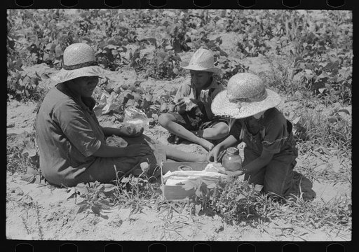 Family of Negro agricultural day laborers eating lunch in string bean field near Muskogee, Oklahoma