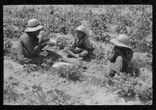 Untitled photo, possibly related to: Family of Negro agricultural day laborers eating lunch in string bean field near Muskogee, Oklahoma